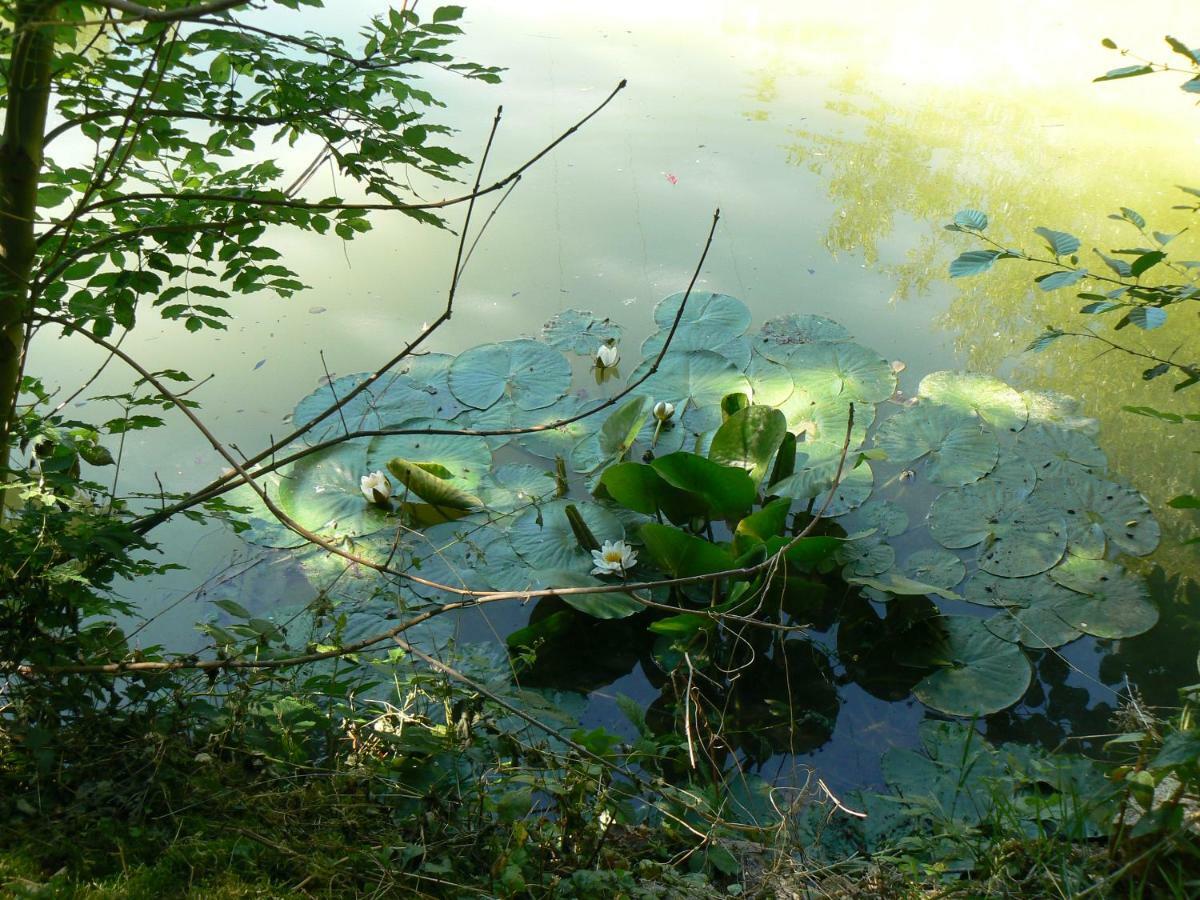 La Maison De L'Etang Sampigny Eksteriør bilde